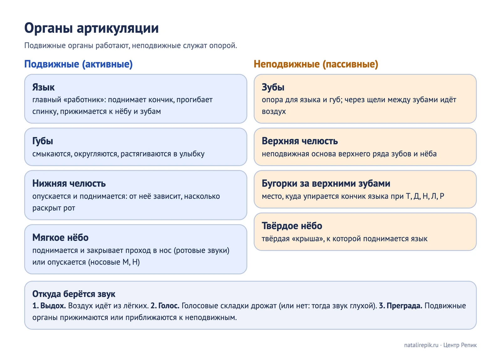 Лист для печати: органы артикуляции, подвижные и неподвижные, и три шага от выдоха до преграды