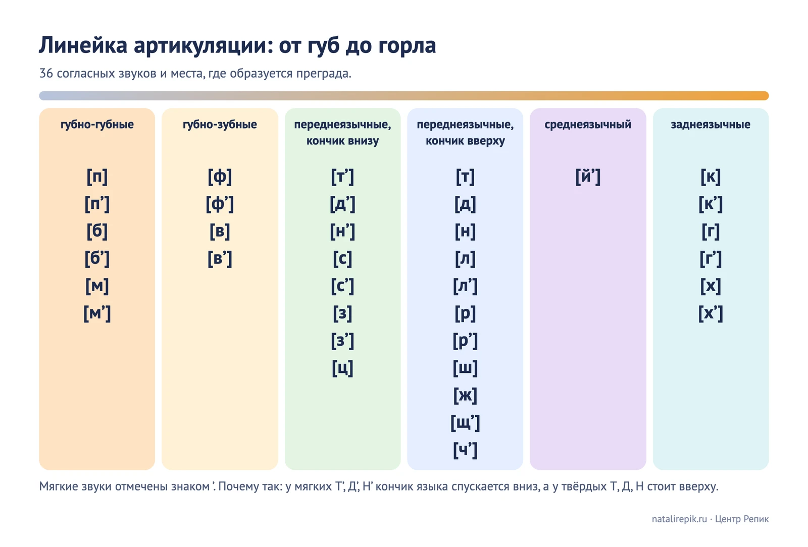 Лист для печати: линейка артикуляции, от губ до задней части языка, 36 согласных звуков по шести группам