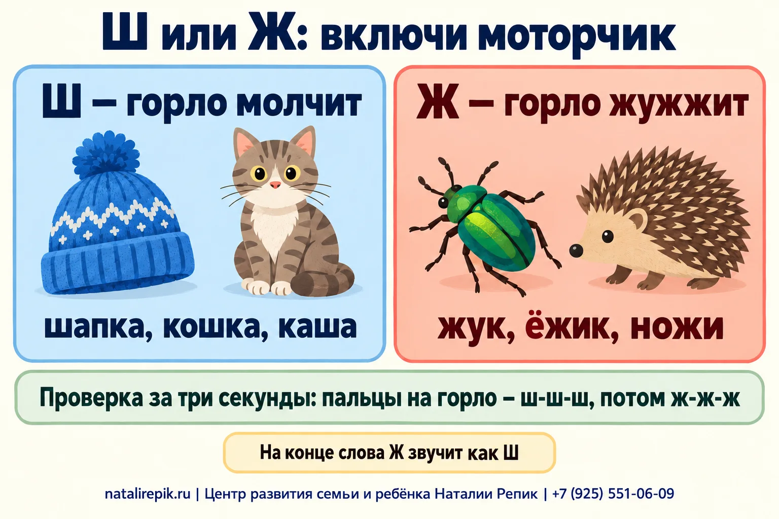 Инфографика «Ш или Ж: включи моторчик»: Ш — горло молчит, слова шапка, кошка, каша; Ж — горло жужжит, слова жук, ёжик, ножи; проверка за три секунды: пальцы на горло, сначала ш-ш-ш, потом ж-ж-ж; на конце слова Ж звучит как Ш