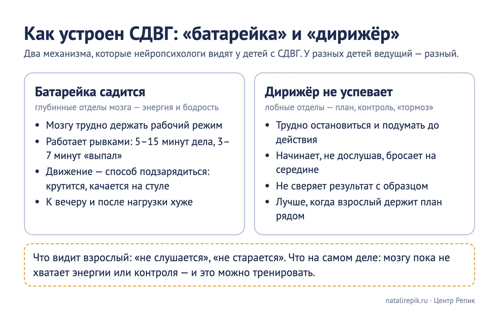 Схема «Как устроен СДВГ: батарейка и дирижёр» — глубинные отделы мозга дают энергию и бодрость, лобные отделы держат план, контроль и торможение; что видит взрослый и что происходит на самом деле