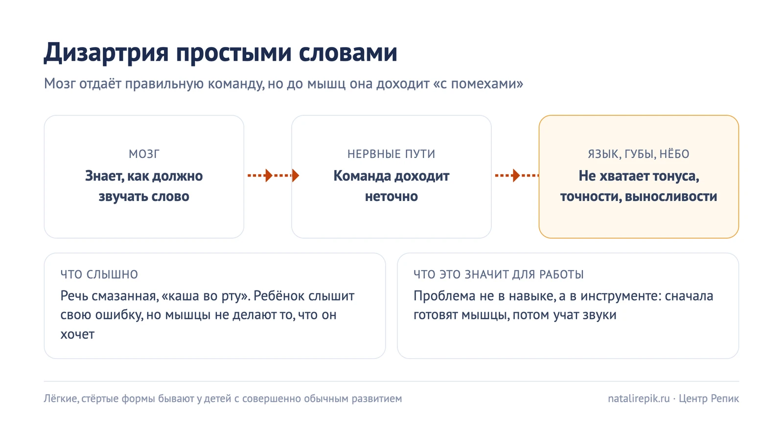 Схема «Дизартрия простыми словами»: мозг знает, как должно звучать слово, команда по нервным путям доходит неточно, языку и губам не хватает тонуса, точности и выносливости