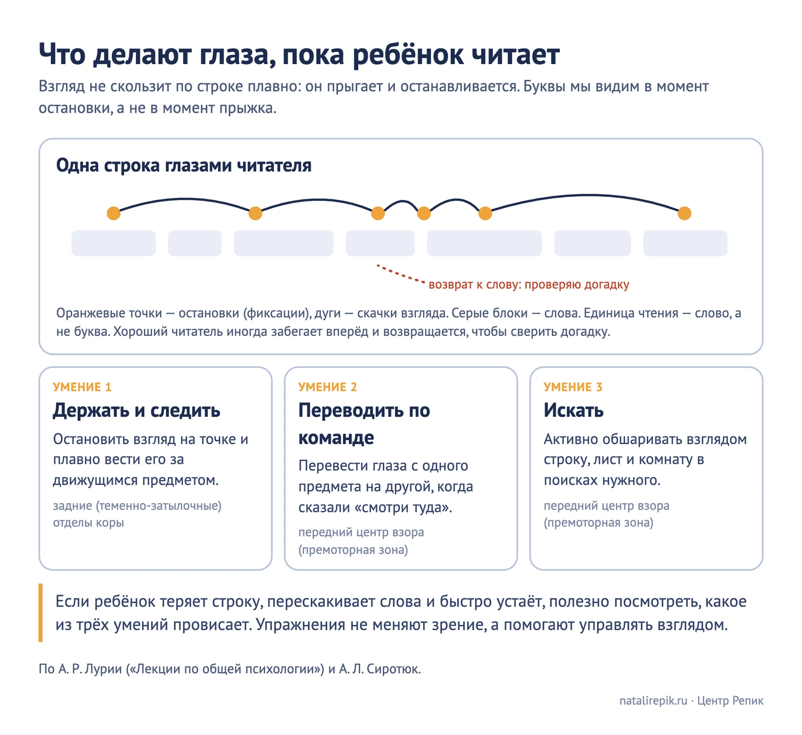 Схема «Что делают глаза, пока ребёнок читает»: строка из слов, остановки взгляда и скачки между ними, возврат к слову, и три умения взгляда: держать и следить, переводить по команде, искать