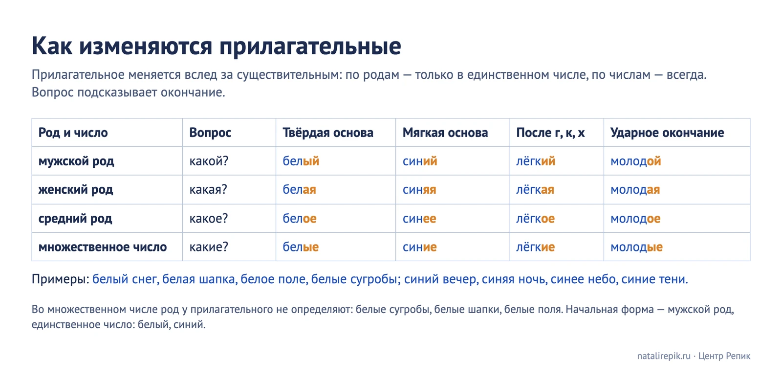 Таблица окончаний прилагательных по родам и числам: вопросы и примеры с твёрдой основой, мягкой основой, после г, к, х и с ударным окончанием