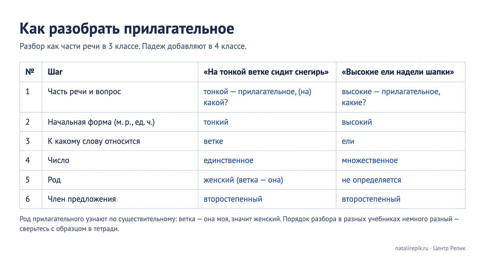 Разбор прилагательного по шести шагам на примерах «на тонкой ветке» и «высокие ели»
