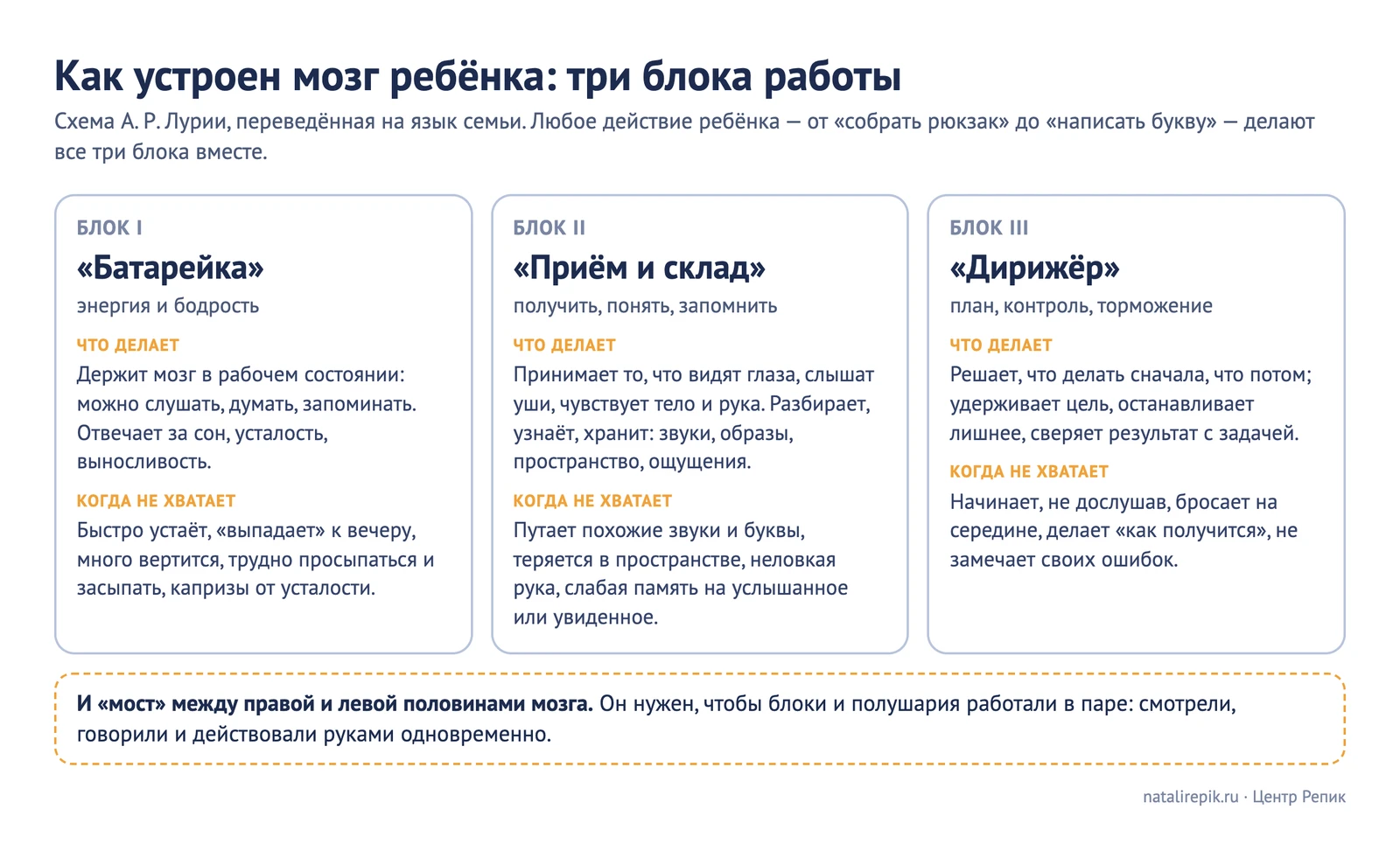 Схема «Как устроен мозг ребёнка: три блока работы» — блок I «батарейка» (энергия и бодрость), блок II «приём и склад» (получить, понять, запомнить), блок III «дирижёр» (план, контроль, торможение), и «мост» между полушариями