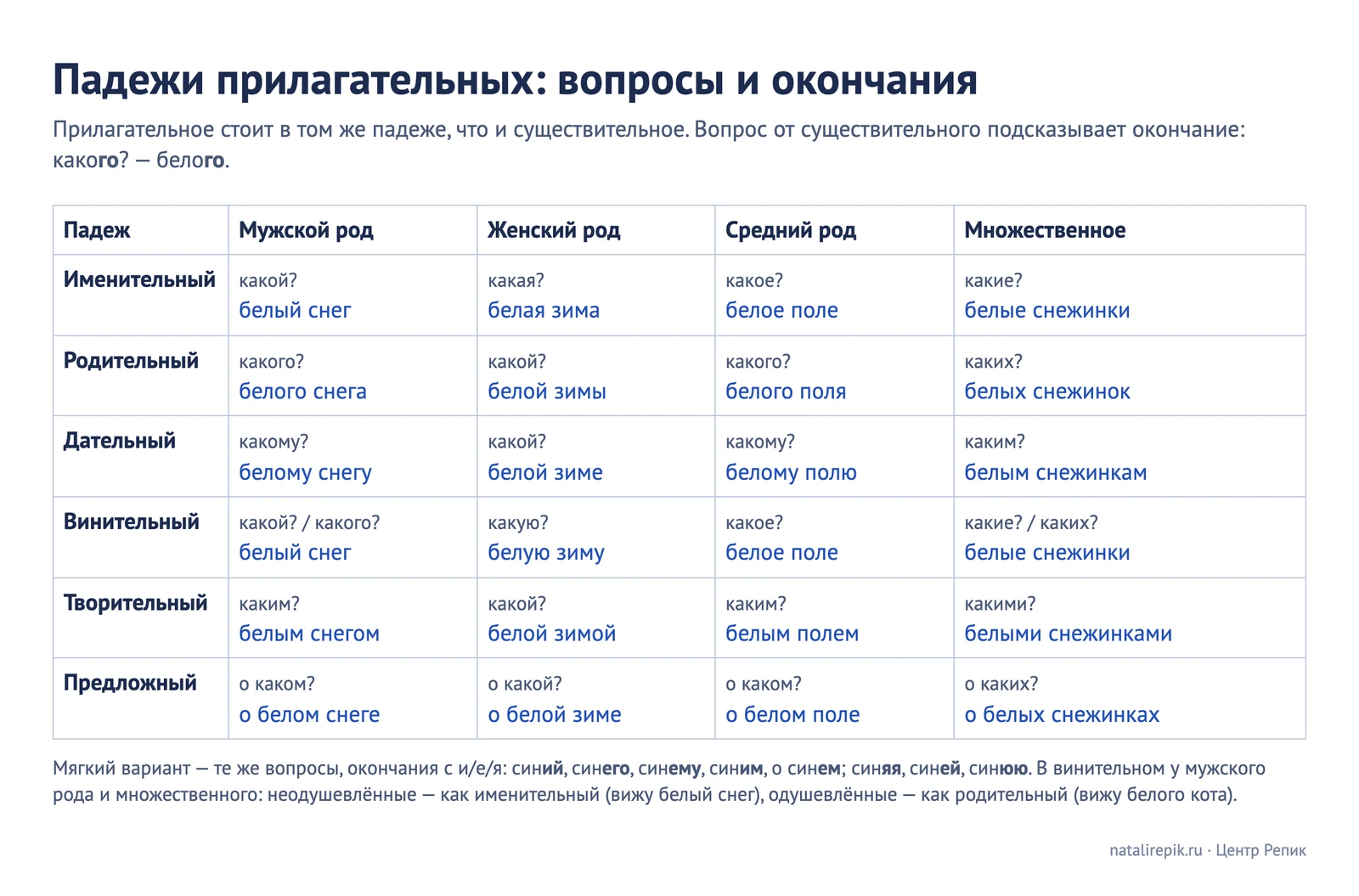 Падежи прилагательных: вопросы и окончания в мужском, женском, среднем роде и множественном числе на примерах белый снег, белая зима, белое поле, белые снежинки