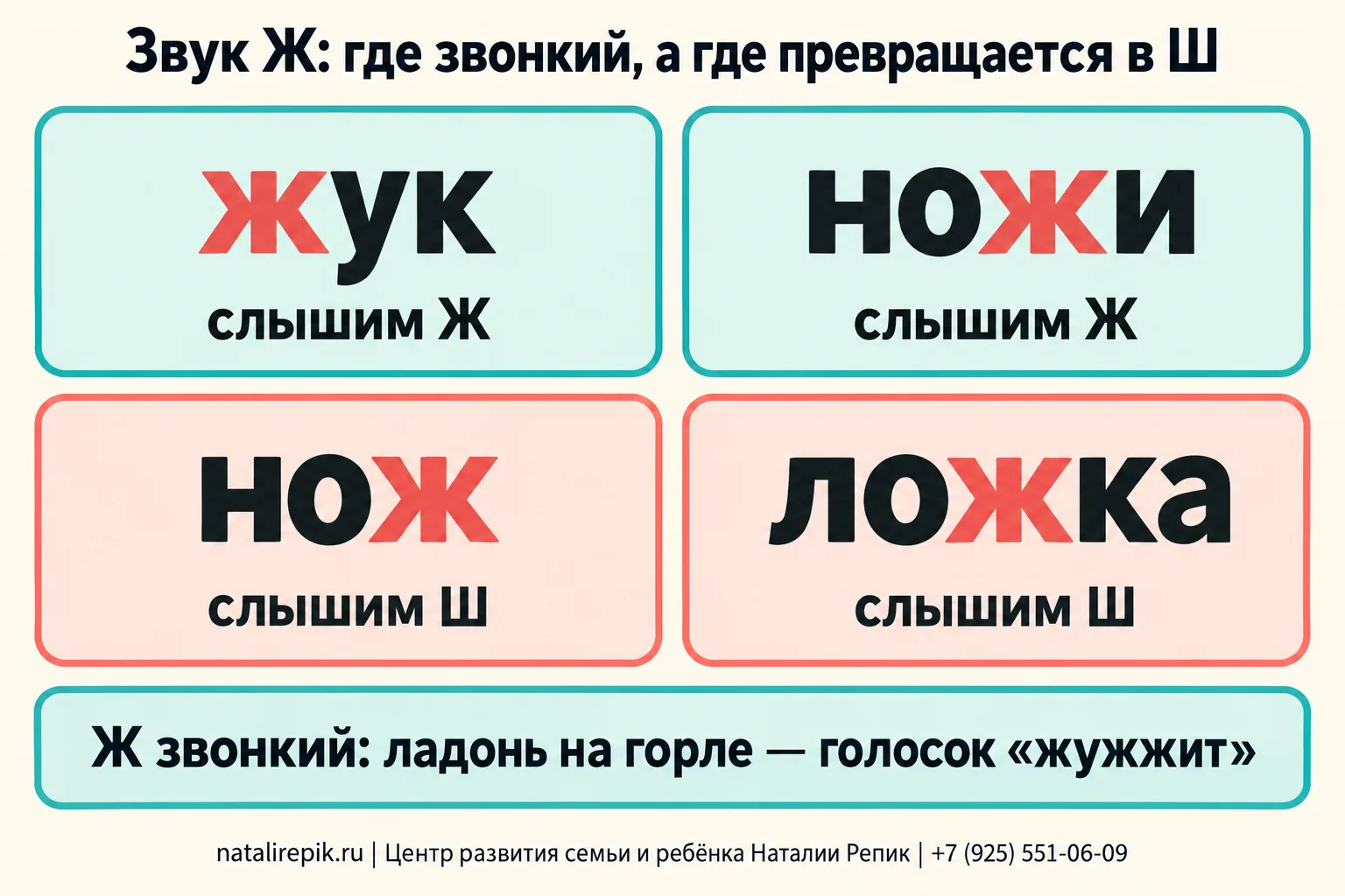 Инфографика «Звук Ж: где звонкий, а где превращается в Ш»: слова «жук» и «ножи» — слышим Ж, слова «нож» и «ложка» — слышим Ш; внизу подсказка: Ж звонкий, ладонь на горле, голосок жужжит