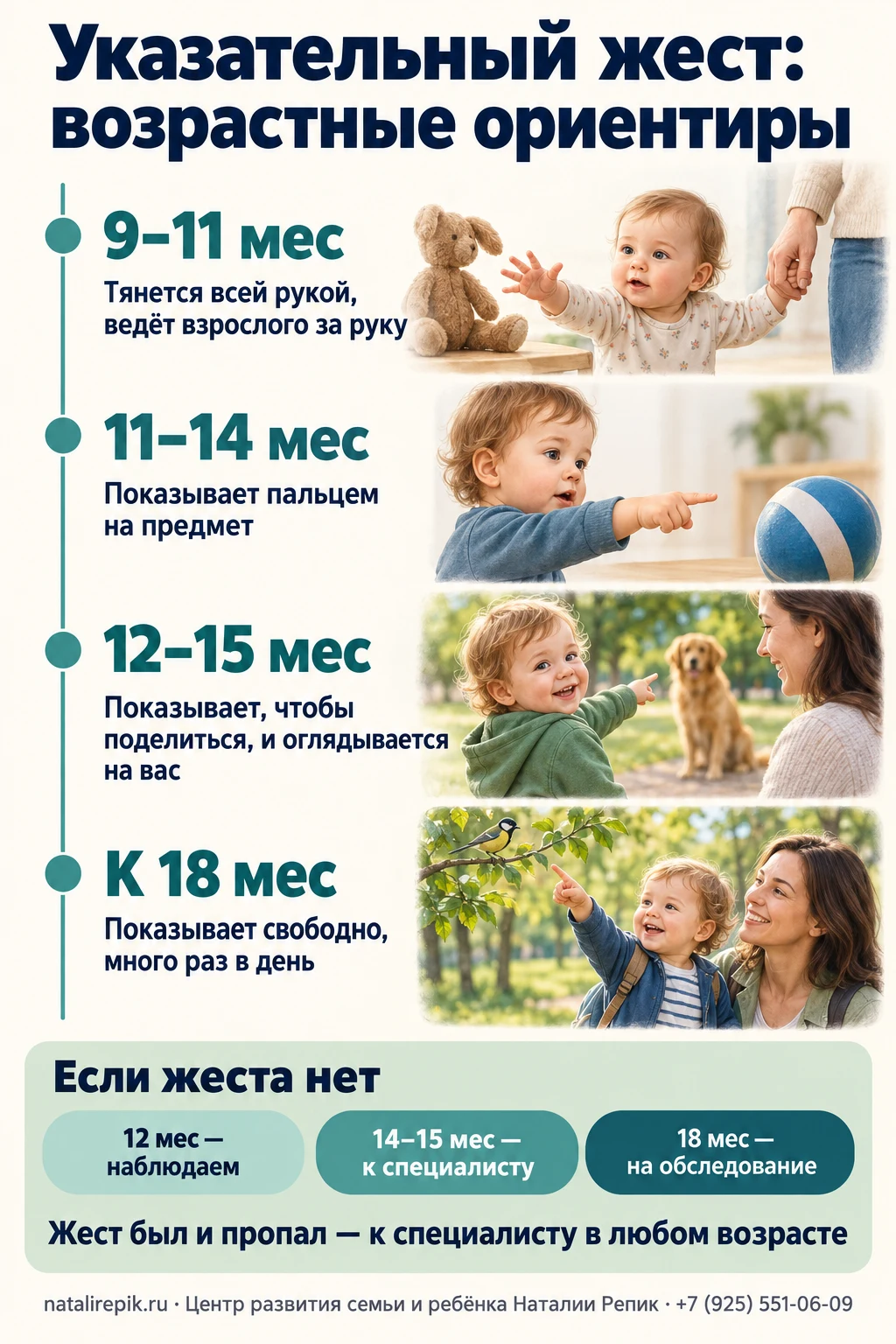 Инфографика: указательный жест по возрастам — в 9–11 месяцев ребёнок тянется всей рукой, в 11–14 показывает пальцем на предмет, в 12–15 показывает, чтобы поделиться, к 18 месяцам показывает много раз в день; если жеста нет — в 12 месяцев наблюдают, в 14–15 идут к специалисту, в 18 на обследование