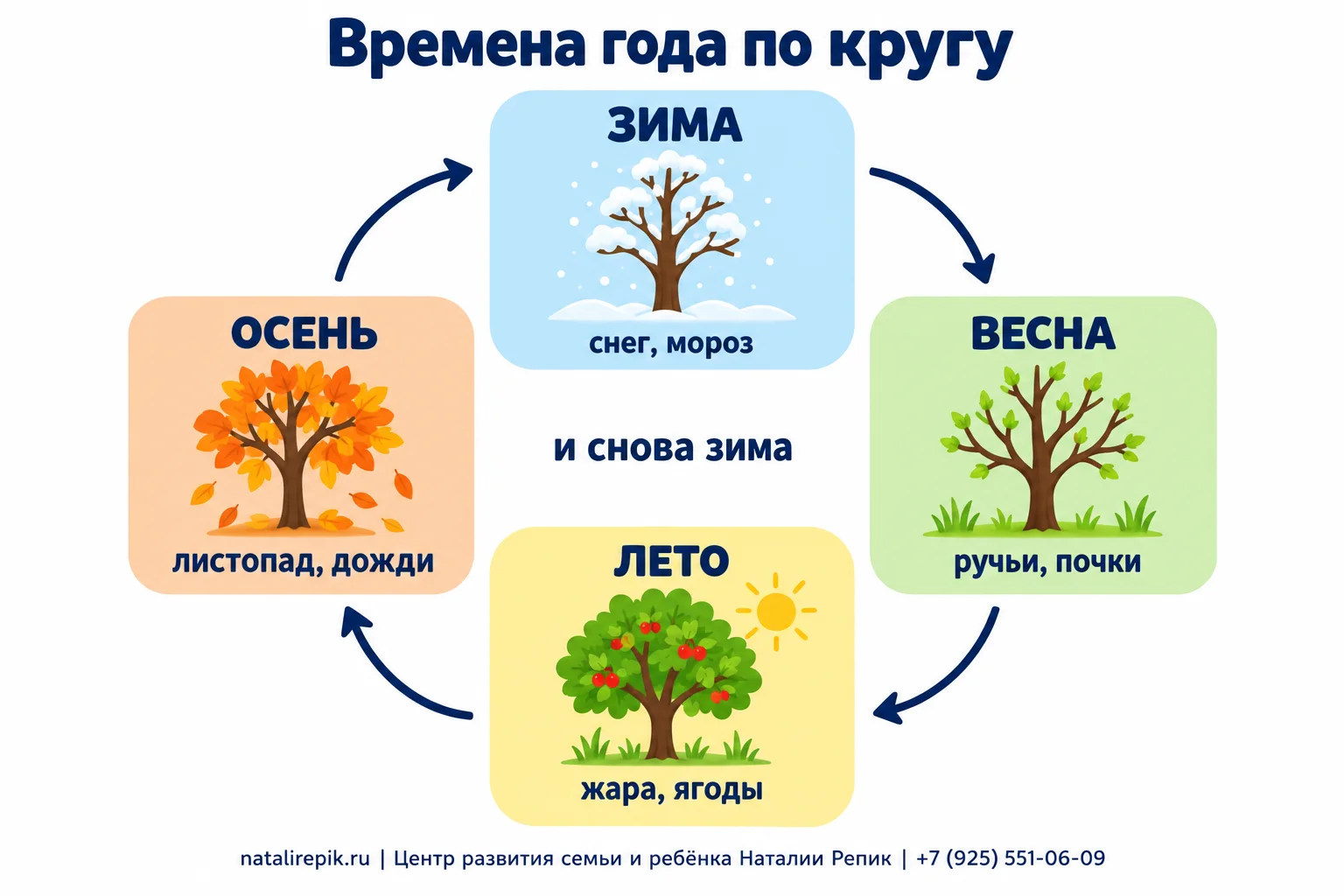 Инфографика «Времена года по кругу»: зима — снег и мороз, весна — ручьи и почки, лето — жара и ягоды, осень — листопад и дожди; стрелки идут по часовой стрелке, в центре подпись «и снова зима»