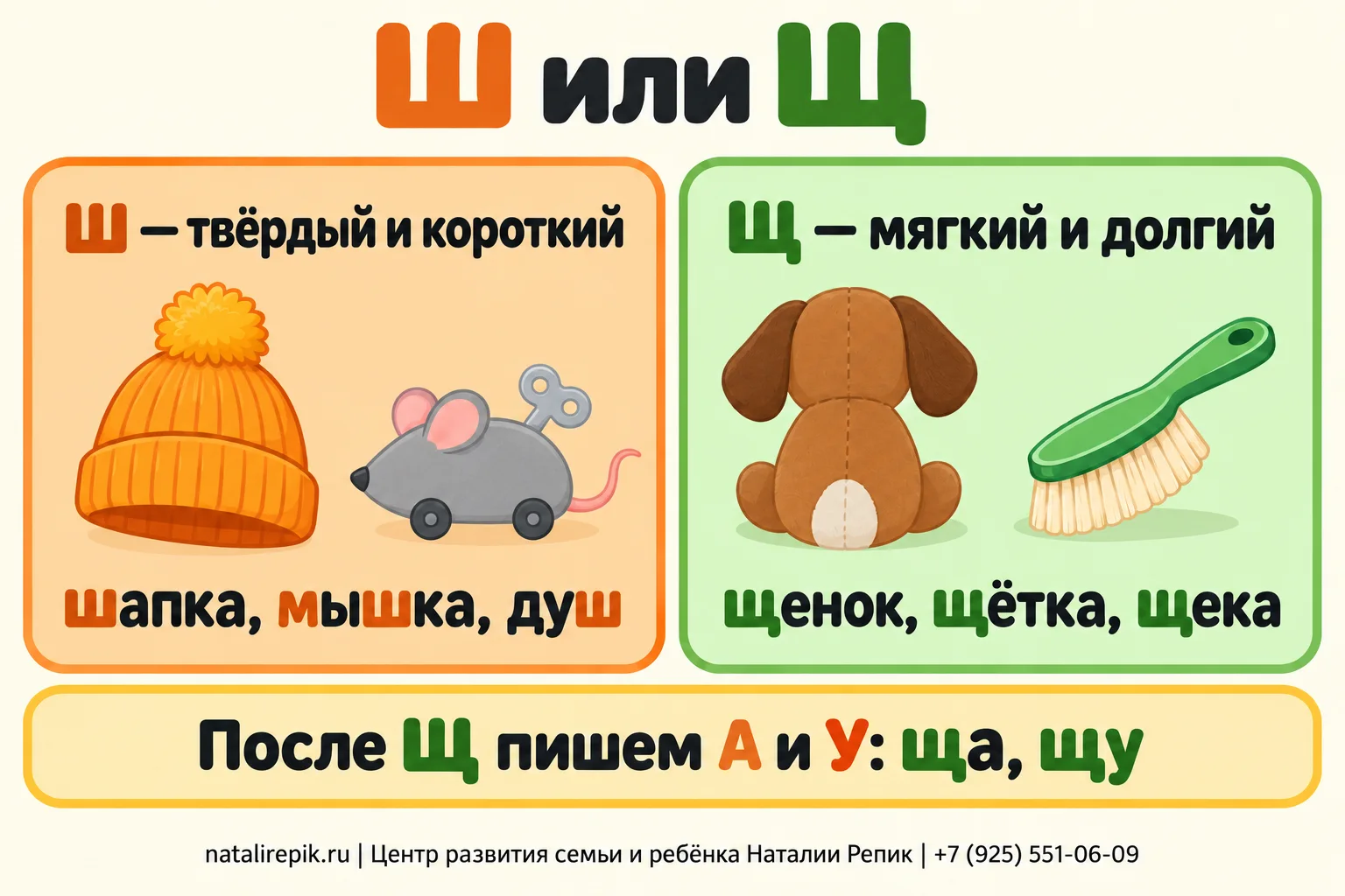 Инфографика «Ш или Щ»: Ш — твёрдый и короткий, слова шапка, мышка, душ; Щ — мягкий и долгий, слова щенок, щётка, щека; после Щ пишем А и У: ща, щу